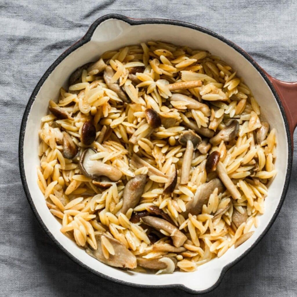 Orzo