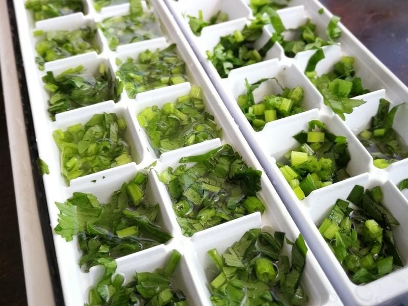 Chopped Cilantro in Ice Trays 