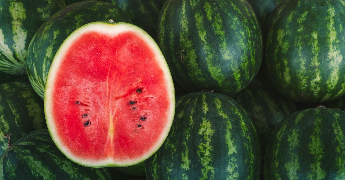 Fresh Green Watermelon with Cut Watermelon