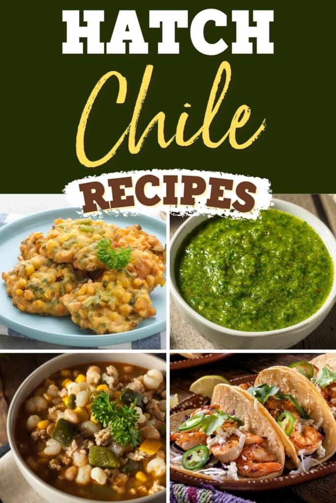 Hatch Chile Recipes