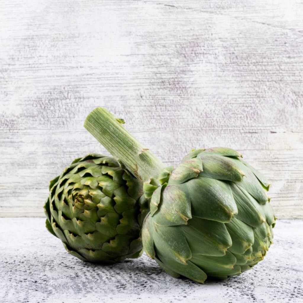 Fresh Artichoke