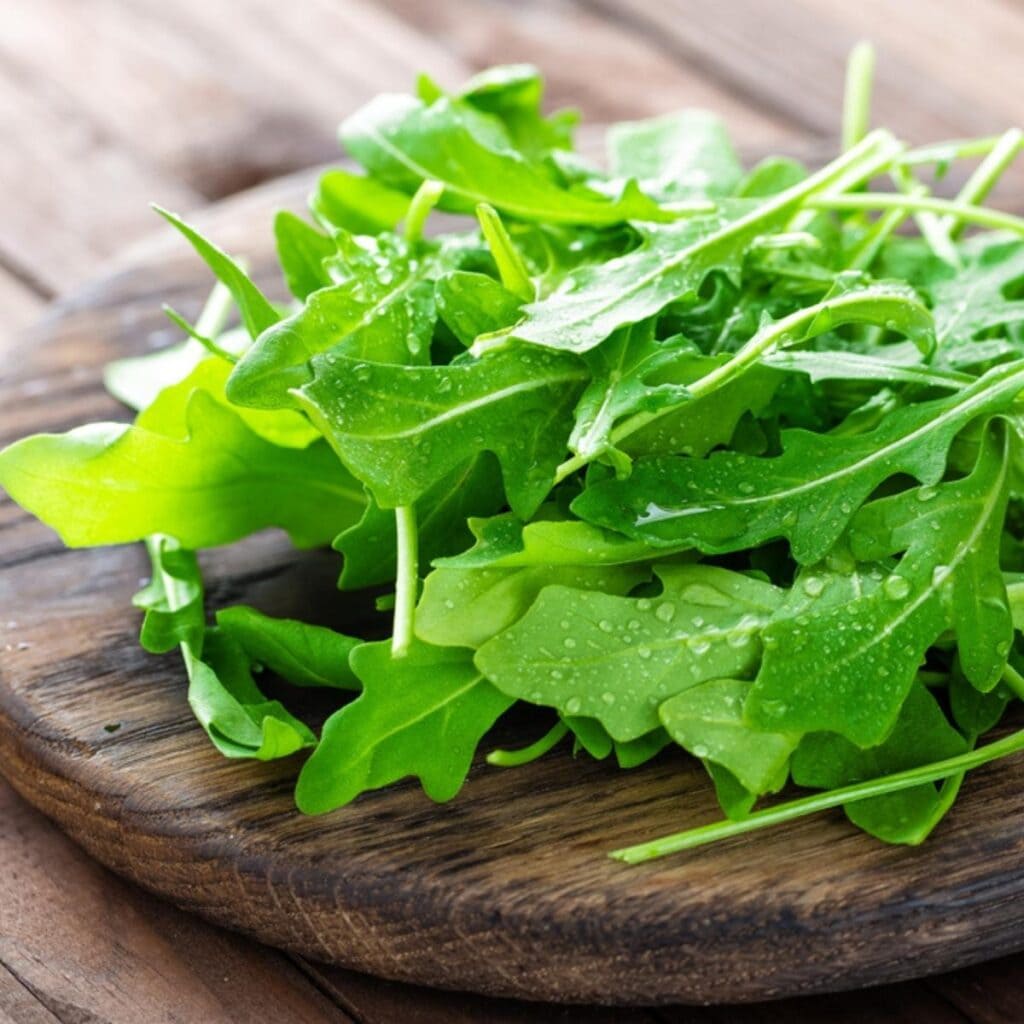 Arugula Leaves