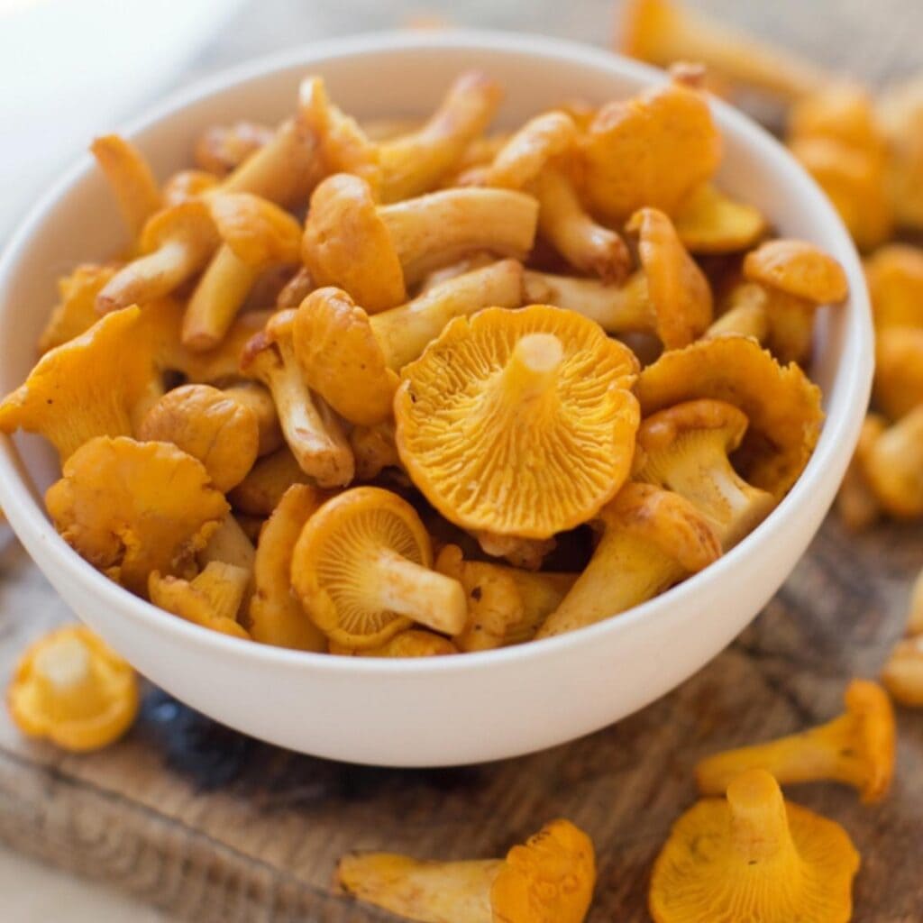 Bowl of Chanterelle Mushrooms