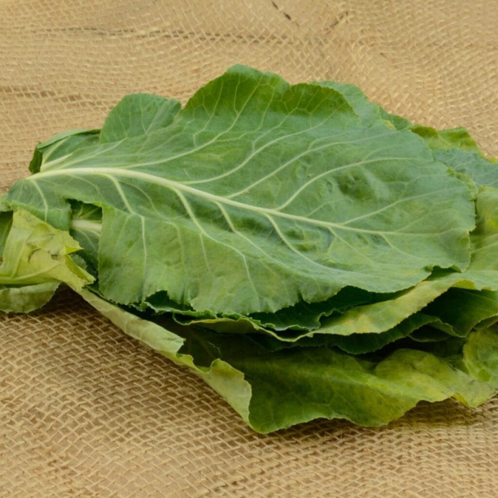 Collard Greens