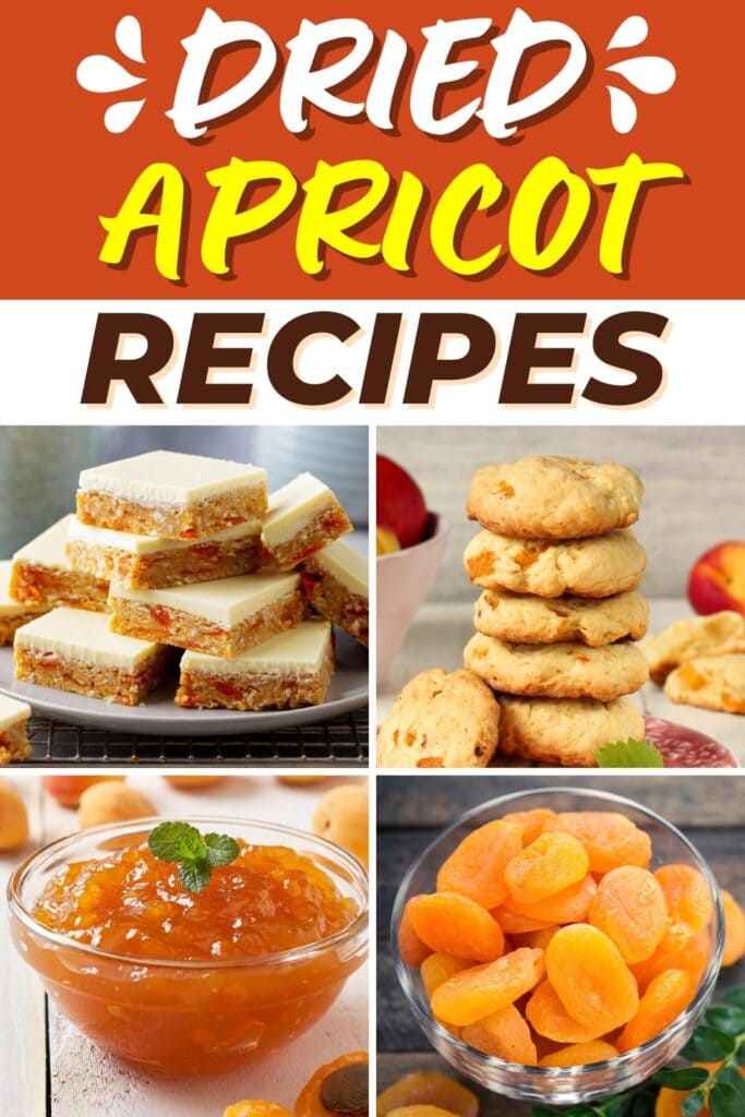 Dried Apricot Recipes