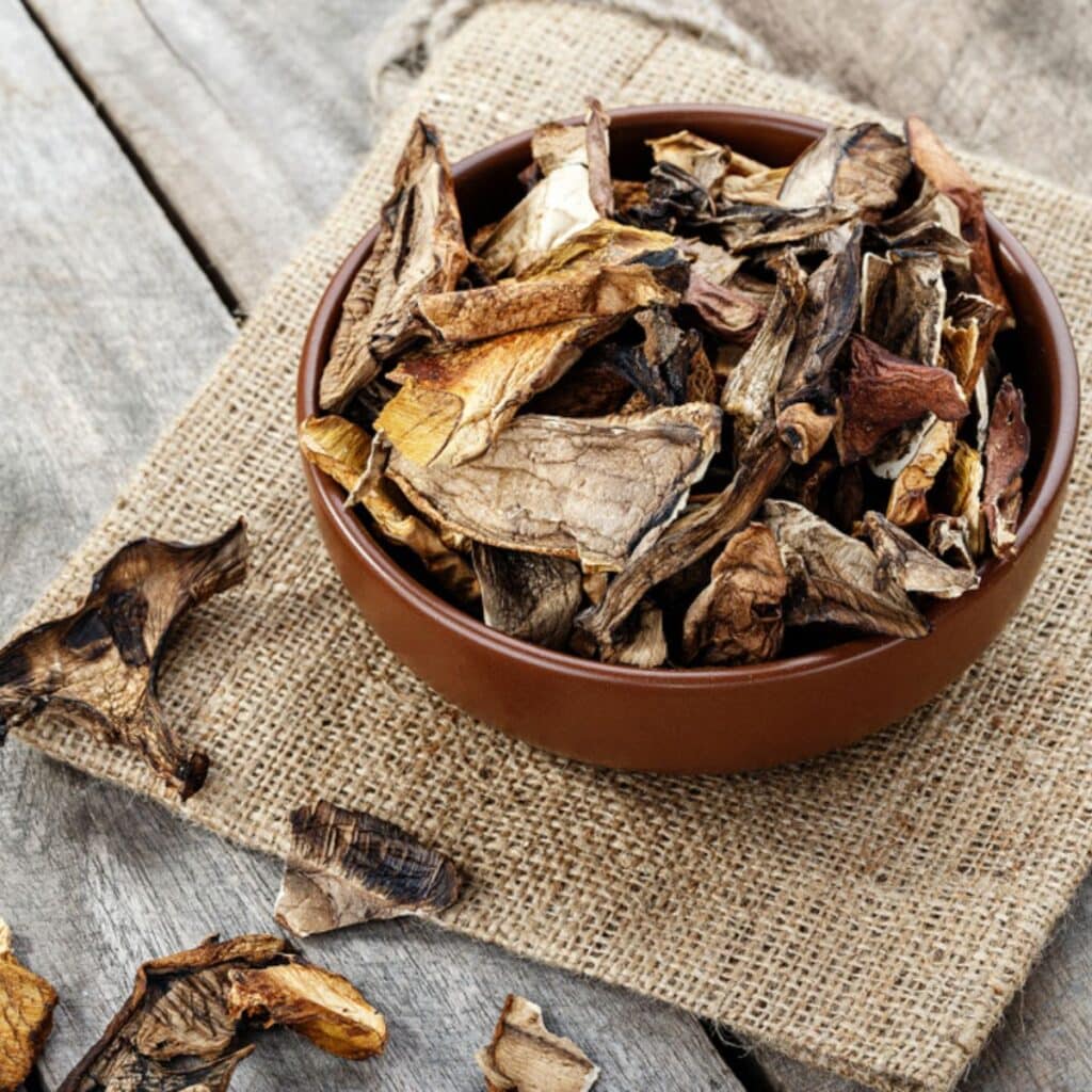 Bowl of Dried Mushrooms
