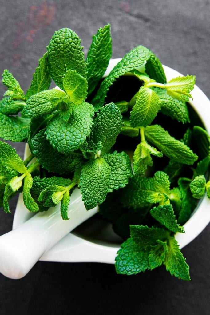 Fresh Green Mint in White Mortar