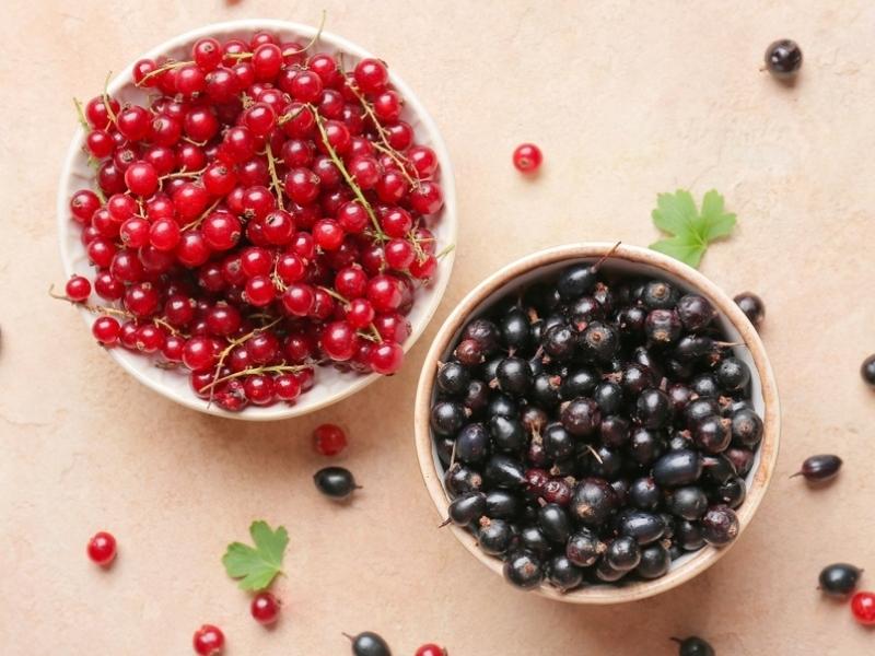 Bowls of Black and Red Currants 