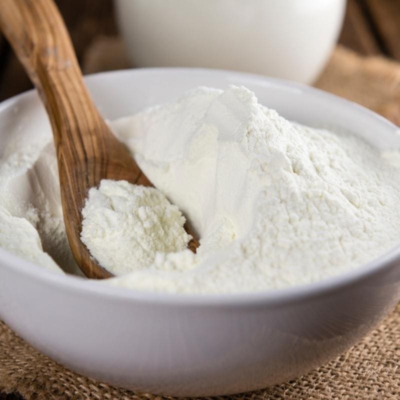 Dry Milk Powder in a White Bowl