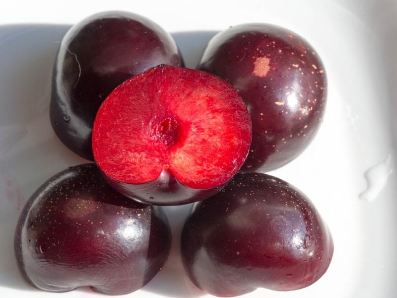 Elephant Heart Plums