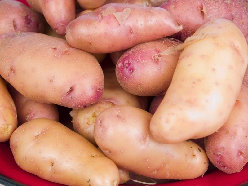 French Fingerling Potatoes