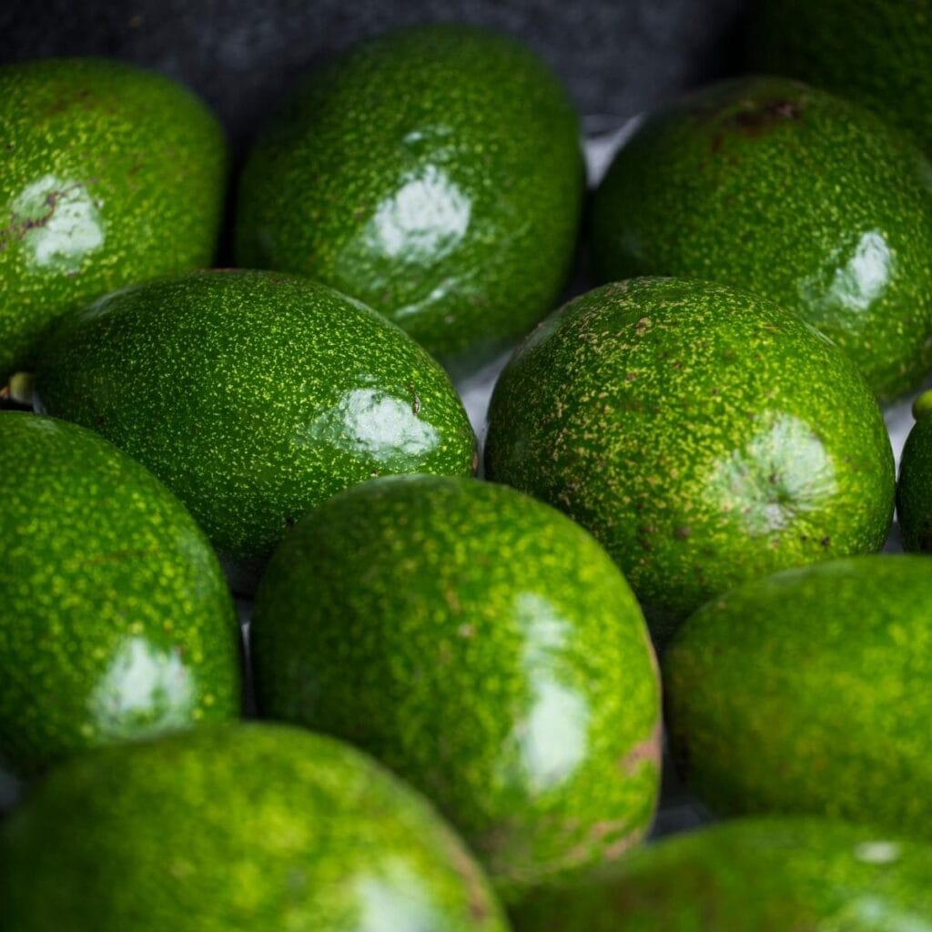 Fresh Reed Green Avocados