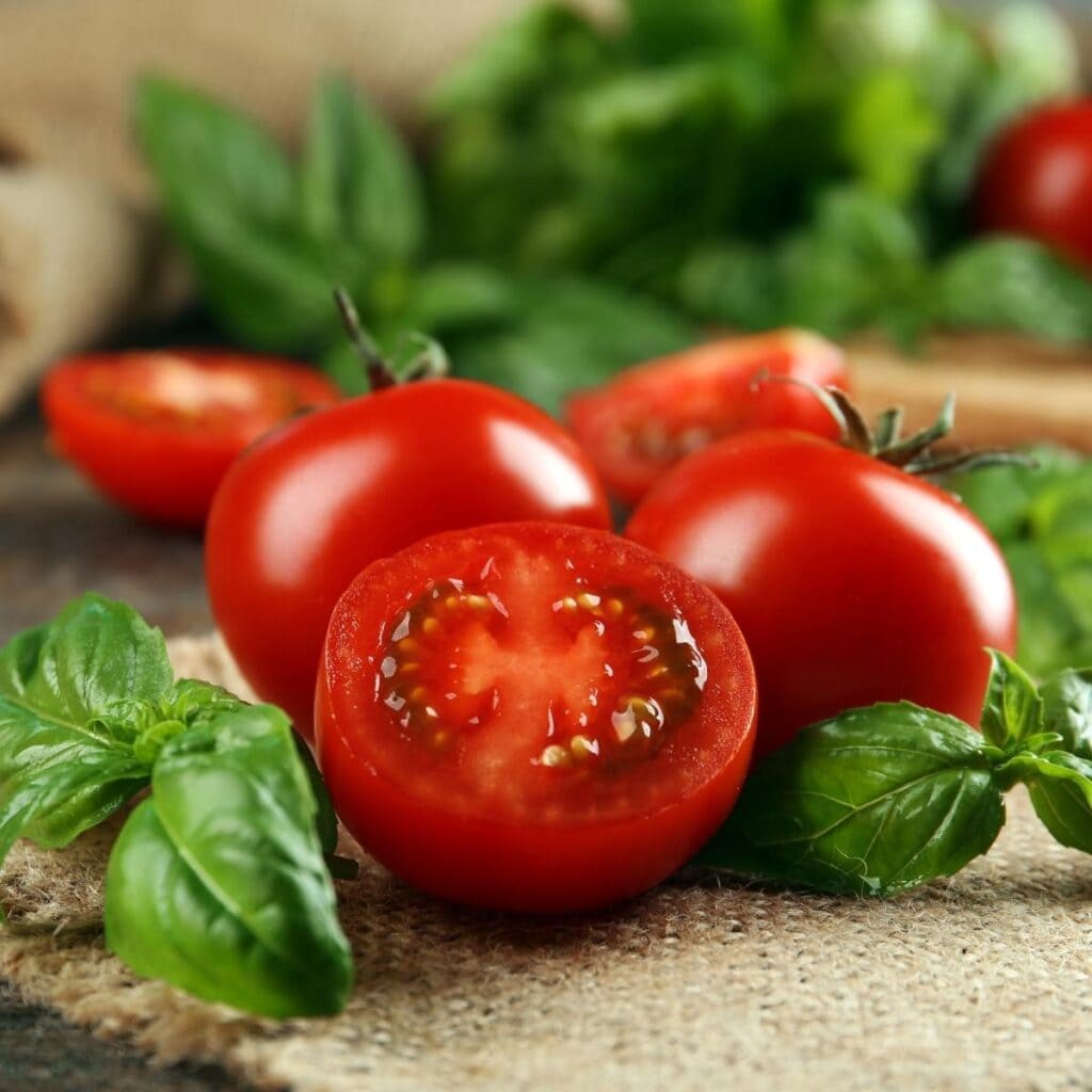 Fresh Tomatoes and Basil