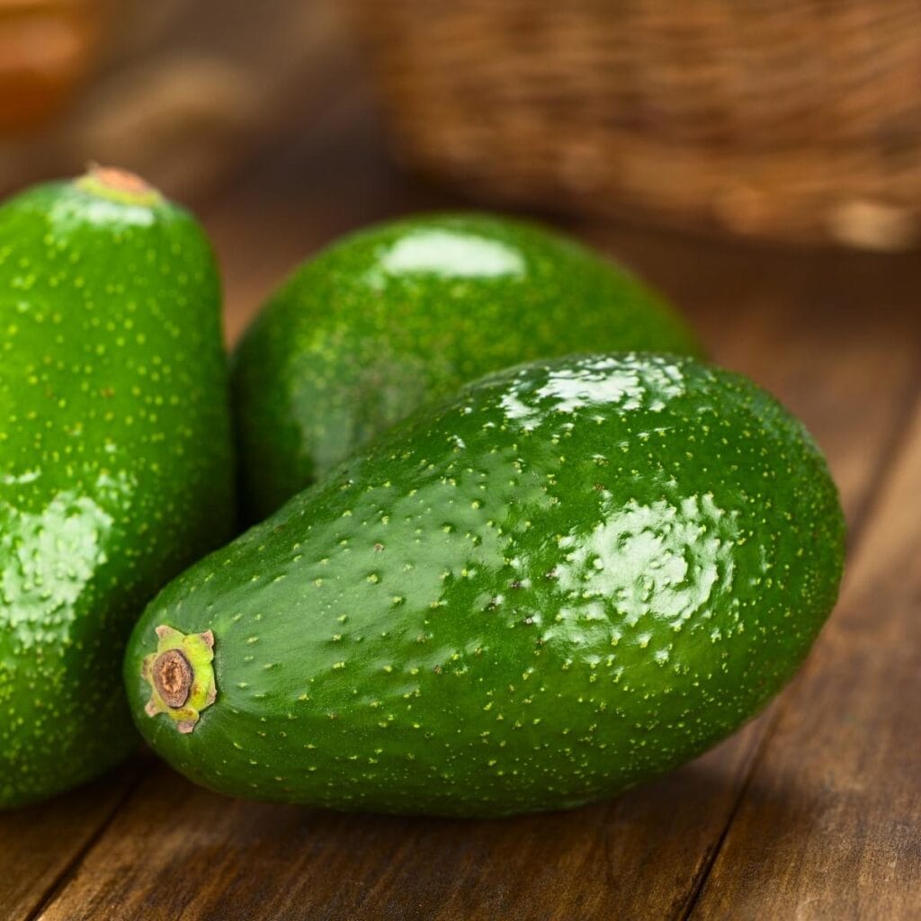 Organic Fuerte Avocado