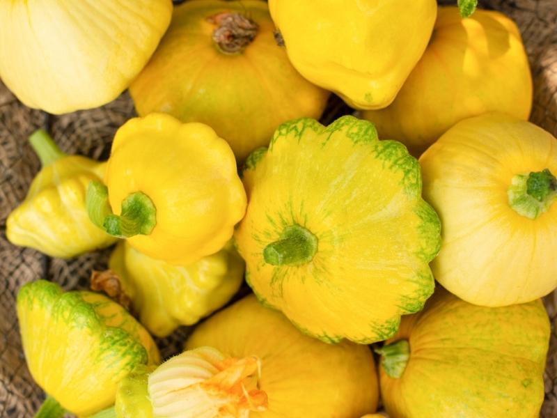 Fresh Pattypan Squash on a Woven Basket