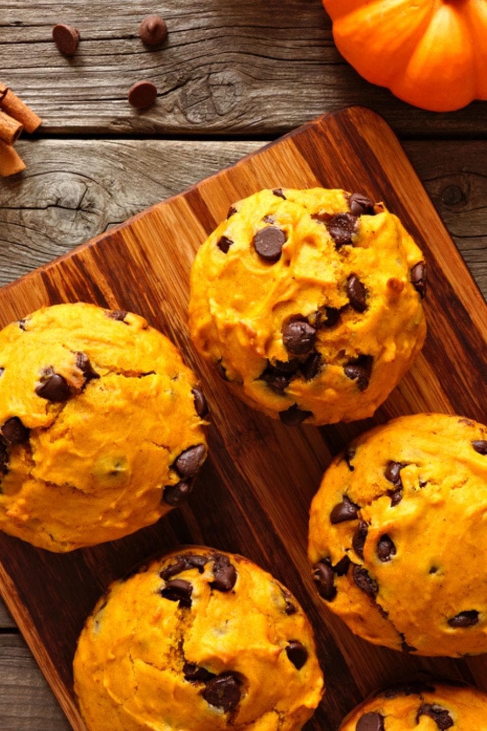 Chocolate chip pumpkin muffins on a wooden board. 