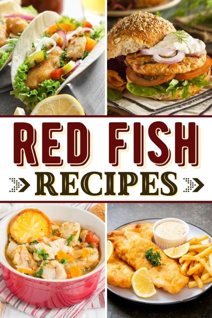 Redfish Recipes