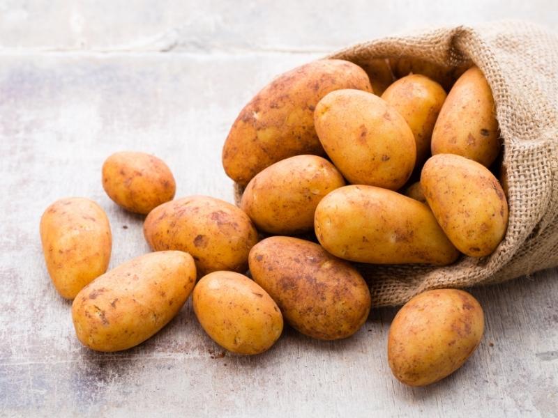 Sack of Russet Potatoes