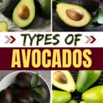 Types of Avocados