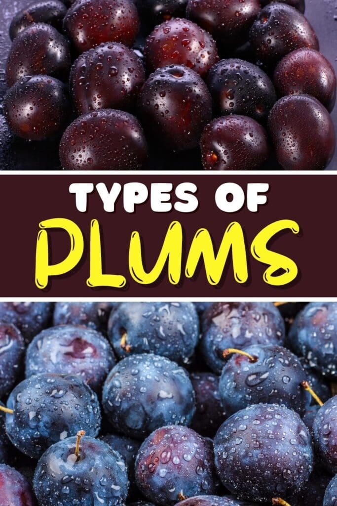 Types of Plums