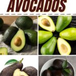 Types of Avocados