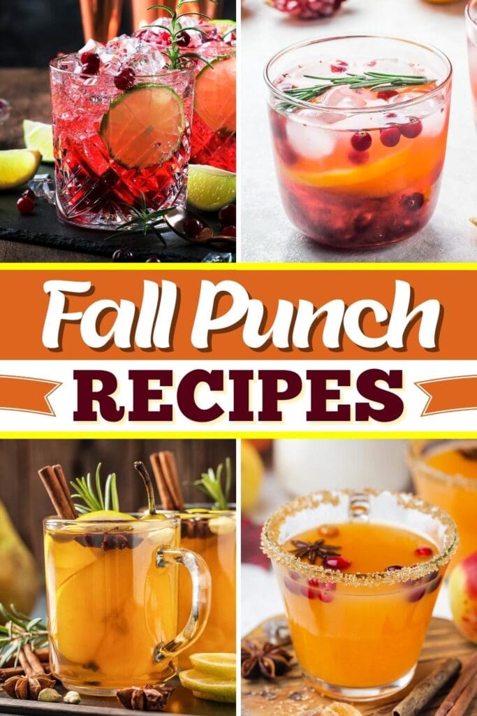 Fall Punch Recipes