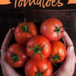 How to Freeze Tomatoes