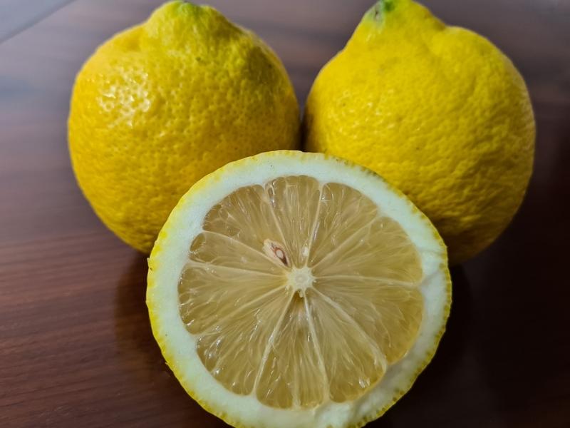 Whole and SLiced Villafranca Lemons
