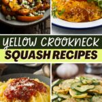 Yellow Crookneck Squash Recipes