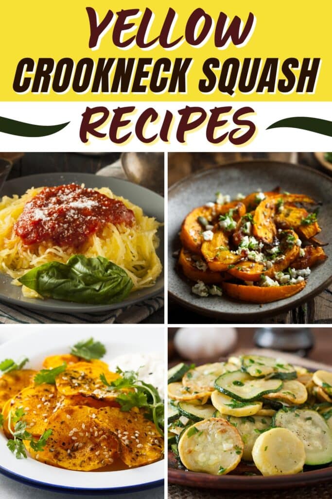 Yellow Crookneck Squash Recipes