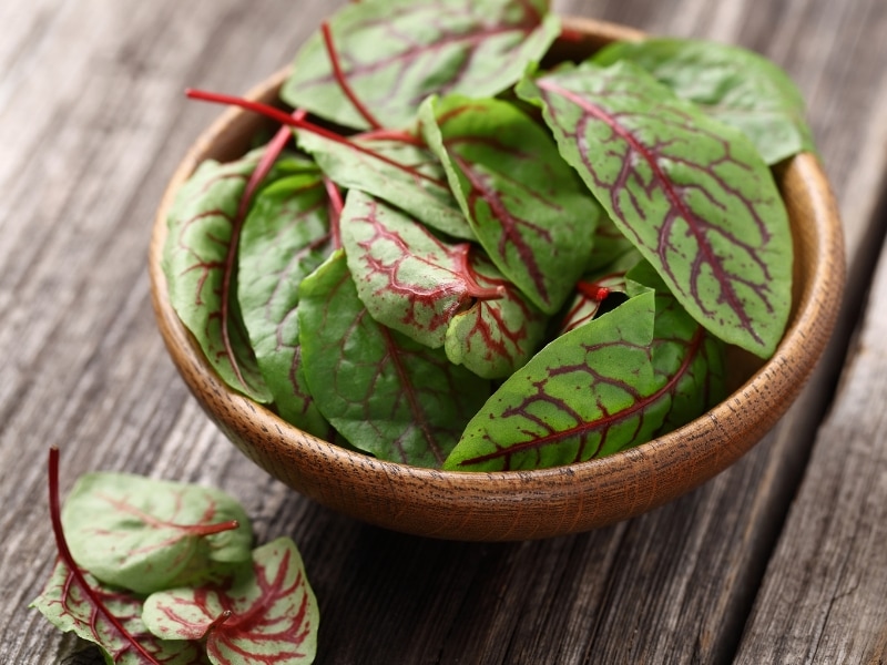 Fresh beet greens on a wooden bowl.