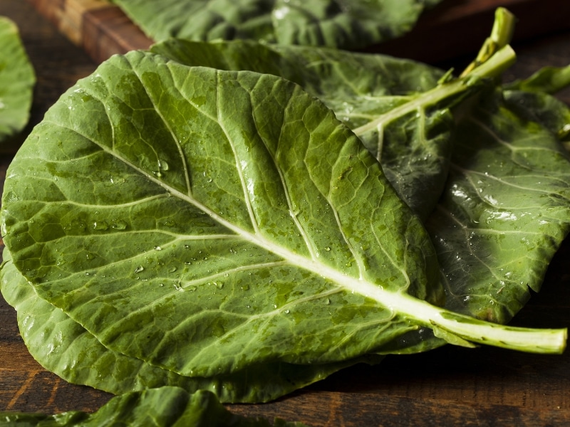 Pieces of fresh collard leaves, wet with dew on top of wooden table.