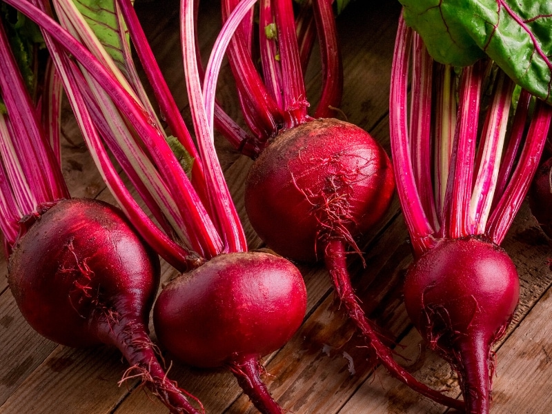 Detroit Dark Red Beet
