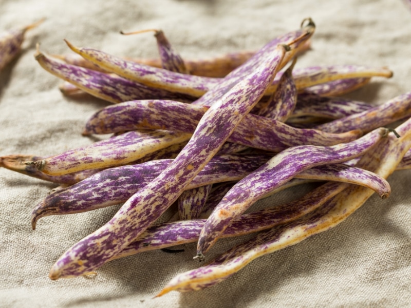 Dragon Tongue Beans