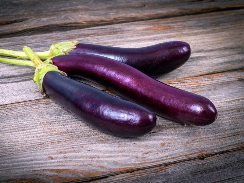 Filipino eggplant