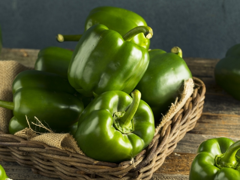 Basket full of unripe green bell peppers. 