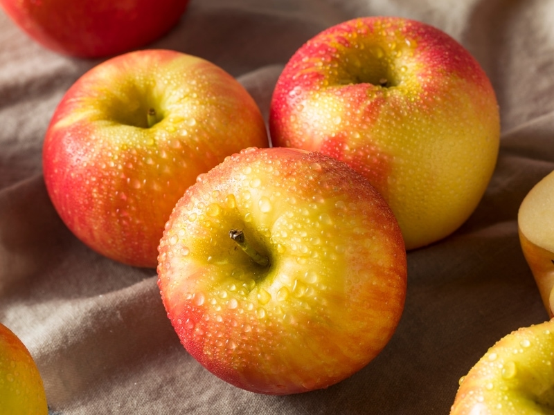 Honeycrisp on Top of a Cloth on a Wooden Table