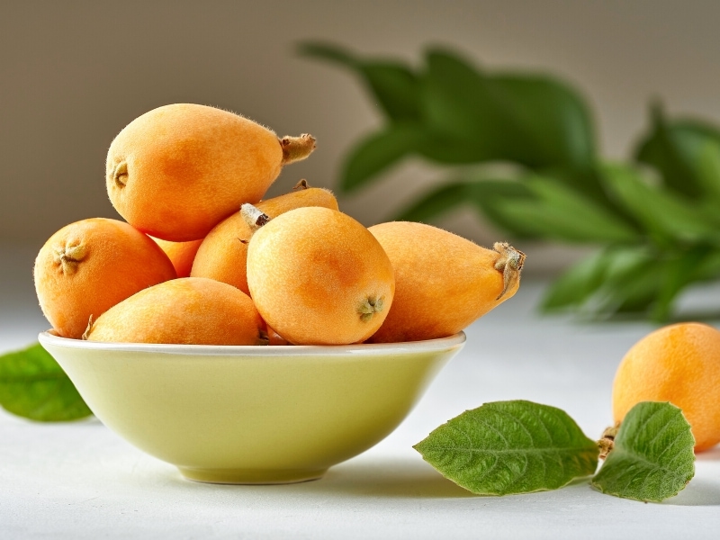 Fresh Loquat on Ceramic Bowl
