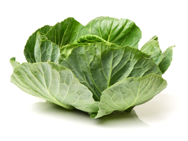 Portuguese Cabbage