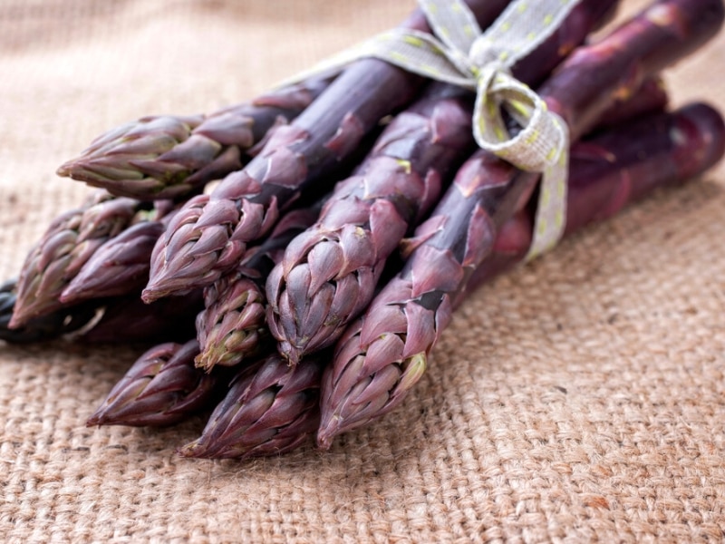 Bunch of Purple Asparagus