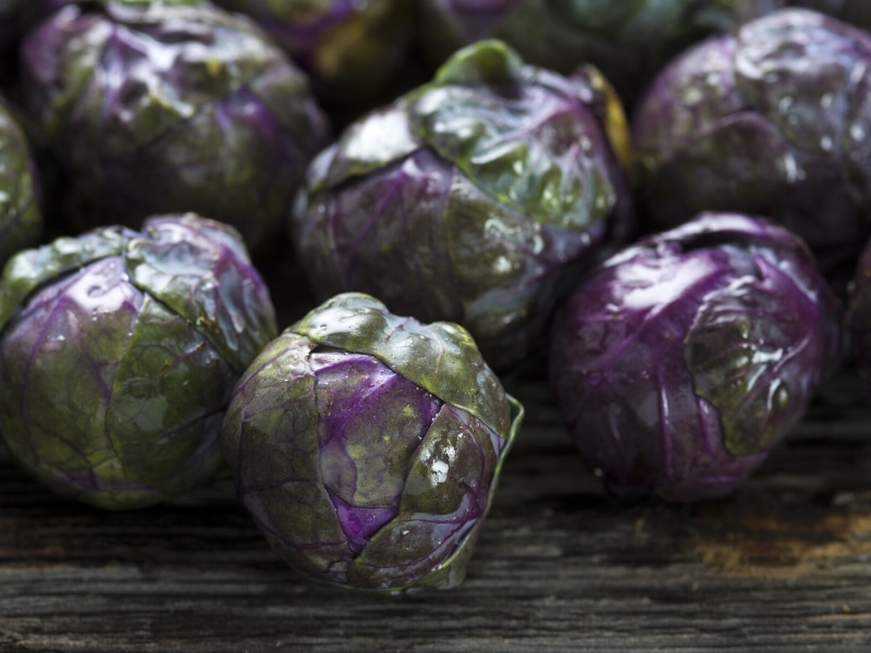 Purple Brussels Sprouts 