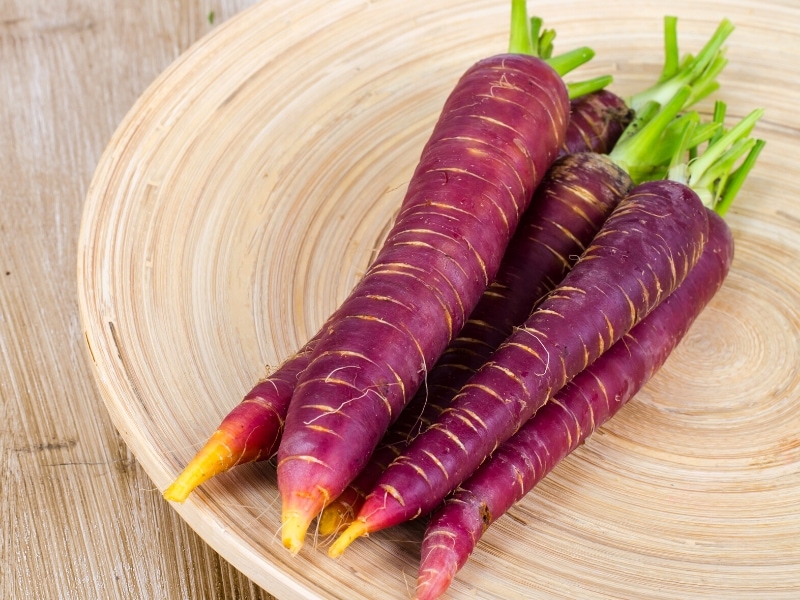 Purple Carrots