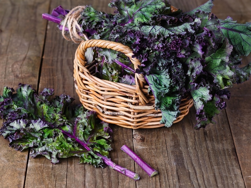 Fresh Redbor Kale on Woven Basket