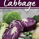 Types of Cabbage