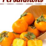 Types of Persimmons