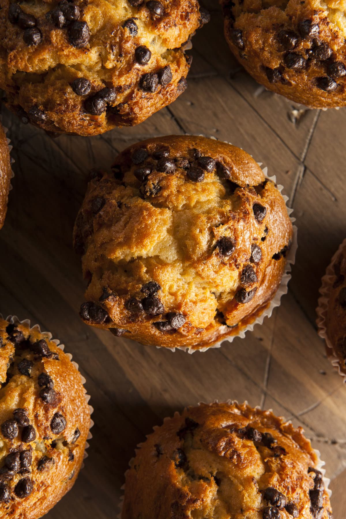 Chocolate muffins with chocolate chips on wooden table.