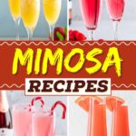 Mimosa Recipes