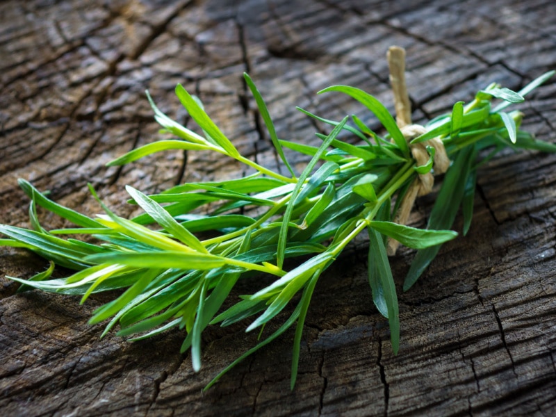 Fresh Tarragon on a Wooden Table