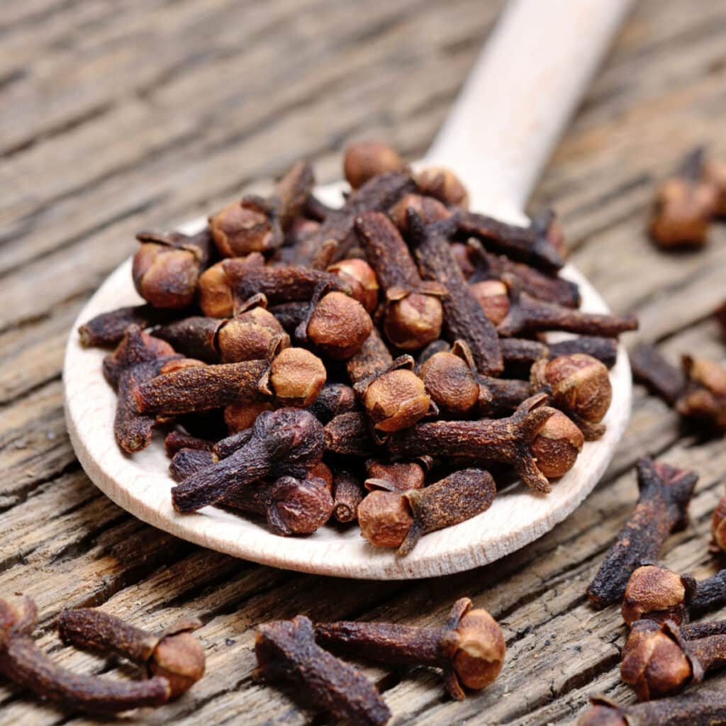 Dried Cloves on a Wooden Spoon