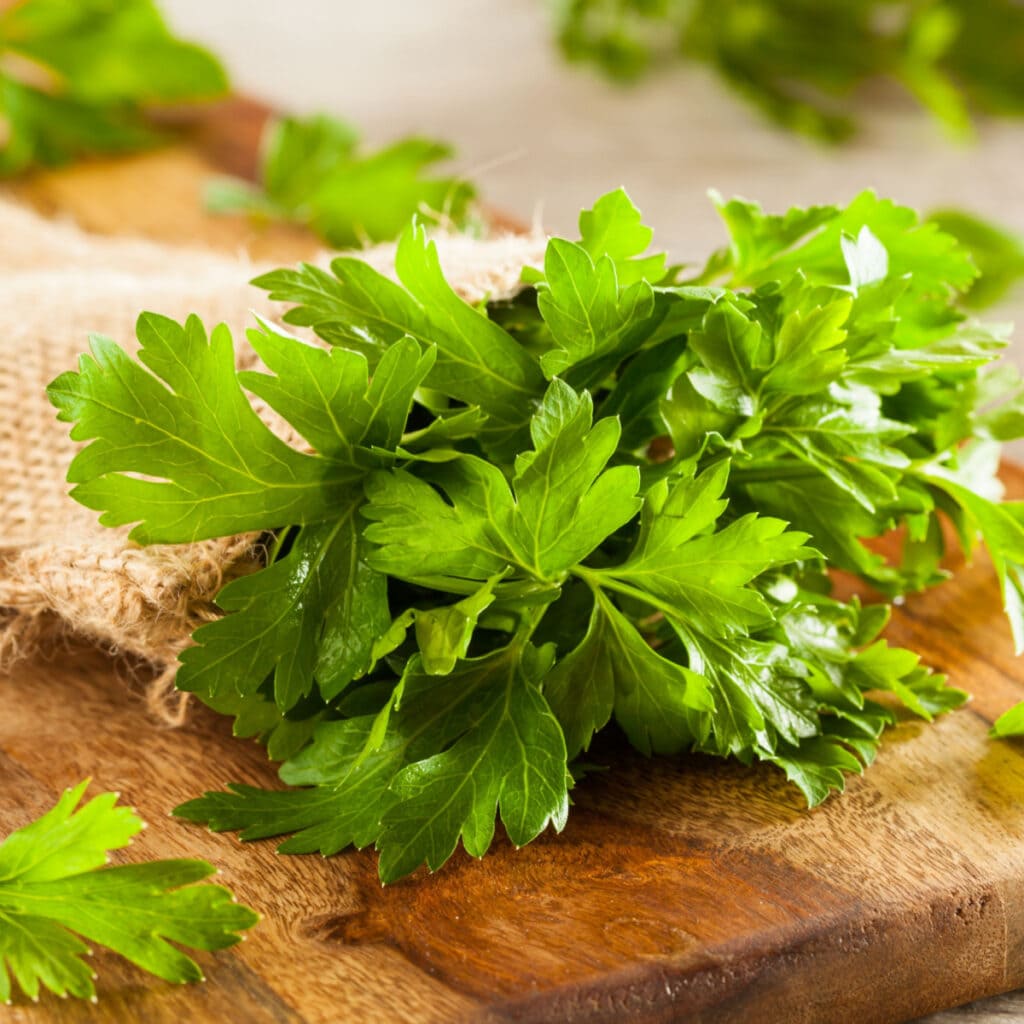 Fresh Parsley on a Chopping Board
